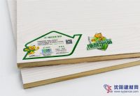 精材藝匠凈醛抗菌板 中國(guó)環(huán)保板材十大品牌