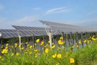 光伏支架耐濕熱可帶銹防腐蝕涂料